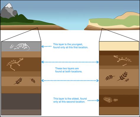relative dating of rock layers tell us that the deeper we dig